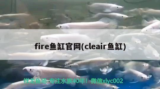 魚缸用增氧泵價格是多少:魚缸增氧機-xtrac增氧機-xtrac增氧機 fire魚缸官網(cleair魚缸) 紅龍魚百科 fire魚缸官網(cleair魚缸) fire魚缸官網(cleair魚缸) 紅龍魚百科