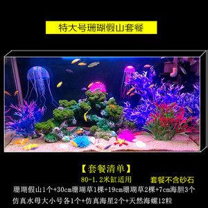 大魚缸可以造景嗎視頻：水族箱造景的技巧