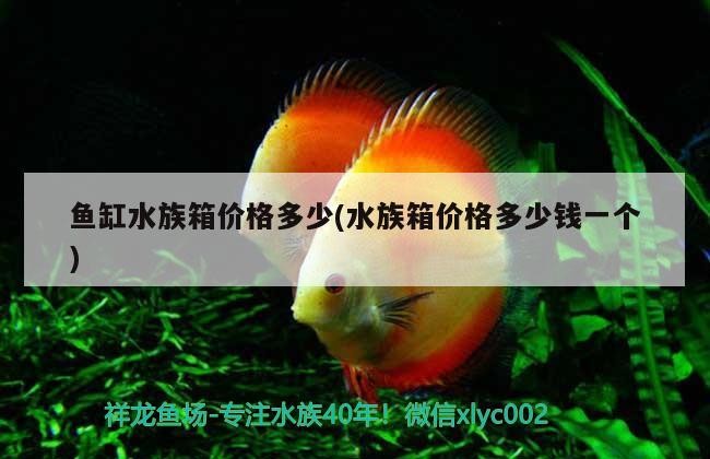 咸陽明遠(yuǎn)汽車服務(wù)有限公司(咸陽明遠(yuǎn)汽車服務(wù)有限公司怎么樣) 全國水族館企業(yè)名錄 第1張 咸陽明遠(yuǎn)汽車服務(wù)有限公司(咸陽明遠(yuǎn)汽車服務(wù)有限公司怎么樣) 咸陽明遠(yuǎn)汽車服務(wù)有限公司(咸陽明遠(yuǎn)汽車服務(wù)有限公司怎么樣) 全國水族館企業(yè)名錄 第1張