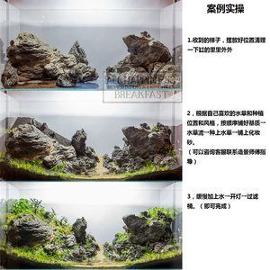 不用草缸還可以怎么給魚(yú)缸造景：不用水草泥和化妝沙進(jìn)行魚(yú)缸造景的方法