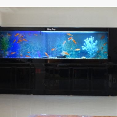大型魚缸去哪里買比較好又實(shí)惠：大型魚缸的風(fēng)水講究在風(fēng)水學(xué)中如何挑選大型魚缸 大型魚缸去哪里買比較好又實(shí)惠：大型魚缸的風(fēng)水講究在風(fēng)水學(xué)中如何挑選大型魚缸 魚缸百科 第3張