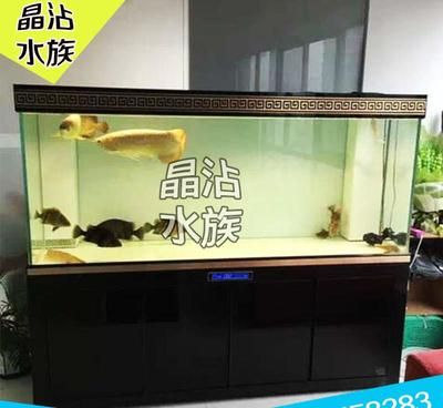 大型魚缸去哪里買比較好又實(shí)惠：大型魚缸的風(fēng)水講究在風(fēng)水學(xué)中如何挑選大型魚缸 大型魚缸去哪里買比較好又實(shí)惠：大型魚缸的風(fēng)水講究在風(fēng)水學(xué)中如何挑選大型魚缸 魚缸百科 第1張