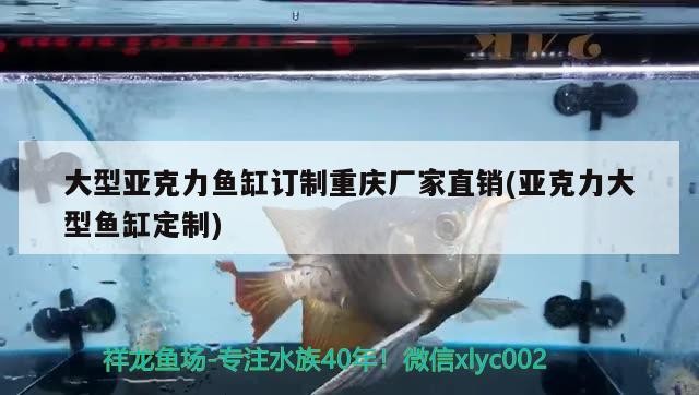 大型亞克力魚缸訂制重慶廠家直銷(亞克力大型魚缸定制)
