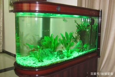 1.2米魚缸制作設計圖視頻：1.2米魚缸制作設計圖