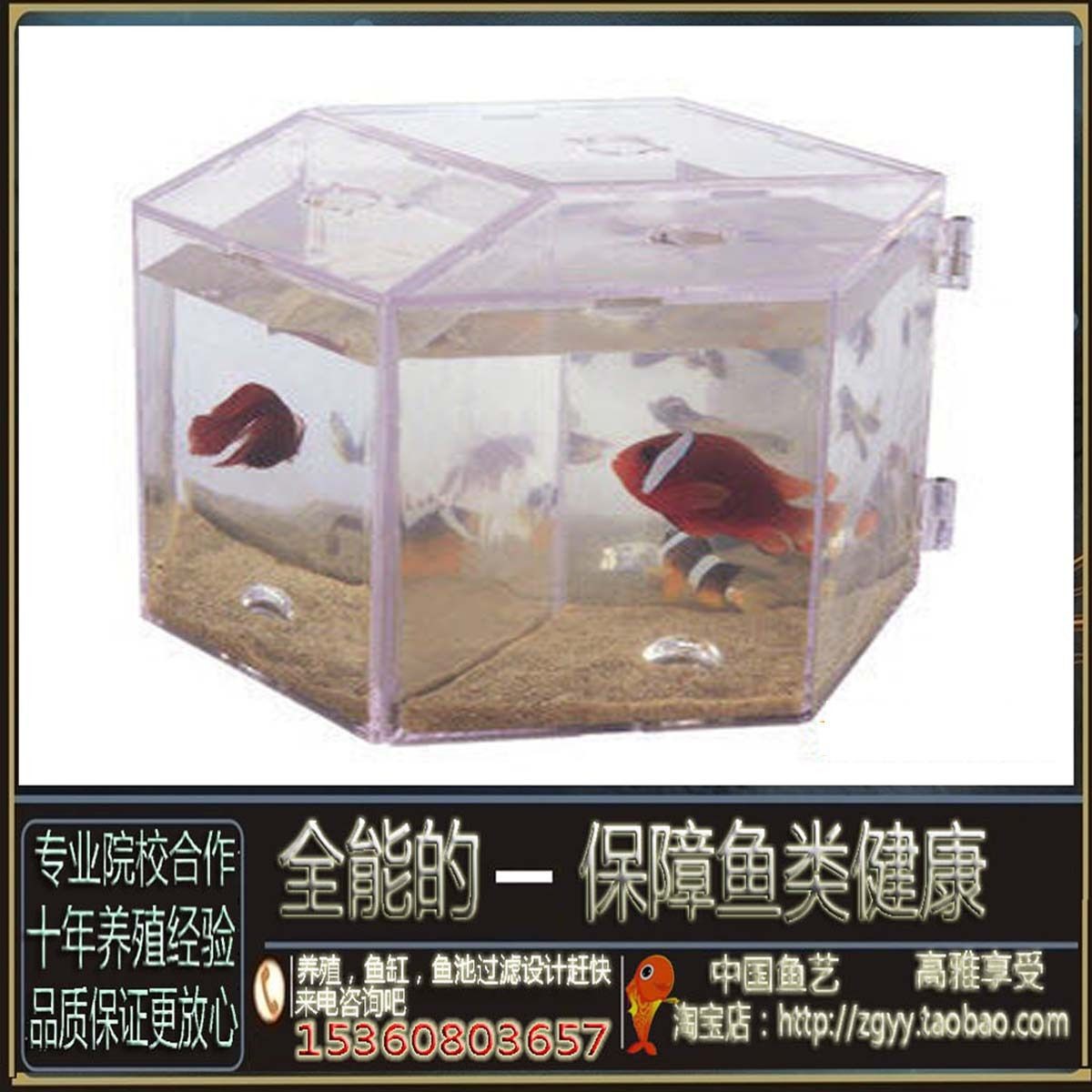 博宇魚缸怎么樣80厘米多少錢：博宇品牌的魚缸價格怎么樣 博宇魚缸怎么樣80厘米多少錢：博宇品牌的魚缸價格怎么樣 魚缸百科 第1張