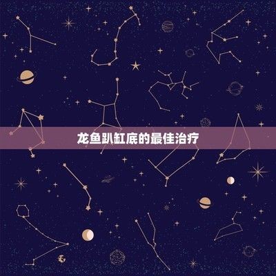 金龍魚尾巴開叉多久能長好