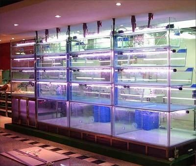 超市有賣(mài)魚(yú)缸的嗎多少錢(qián)：超市魚(yú)缸價(jià)格