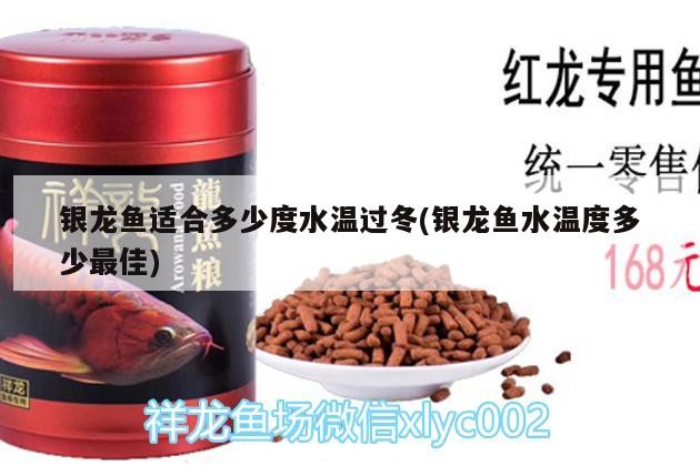 銀龍魚適合多少度水溫過(guò)冬(銀龍魚水溫度多少最佳) 銀龍魚適合多少度水溫過(guò)冬(銀龍魚水溫度多少最佳) 銀龍魚百科