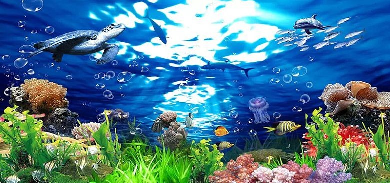 不帶膠的魚缸背景圖如何貼：不帶膠的魚缸背景圖怎么粘貼