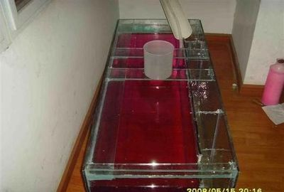 100升水的魚缸加多少鹽