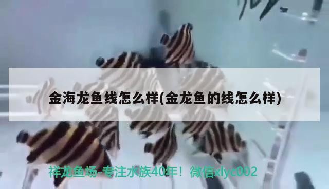 祥龍魚場水族館加盟電話地址是多少