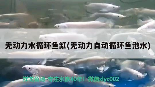 無動力水循環魚缸(無動力自動循環魚池水)