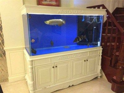 100的魚(yú)缸用多厚的玻璃好：100的魚(yú)缸用多厚的玻璃好， 100的魚(yú)缸用多厚的玻璃好：100的魚(yú)缸用多厚的玻璃好， 魚(yú)缸百科 第1張