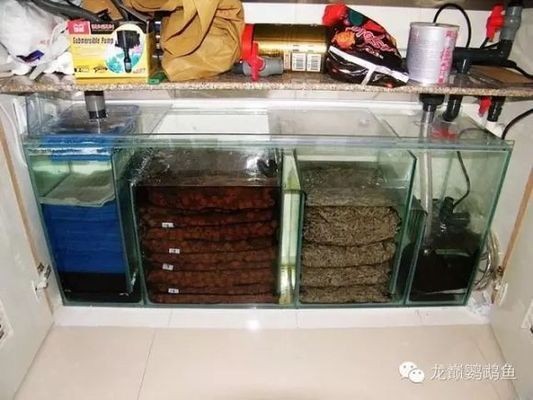 森森魚糧怎么樣（森森魚糧怎么樣?）