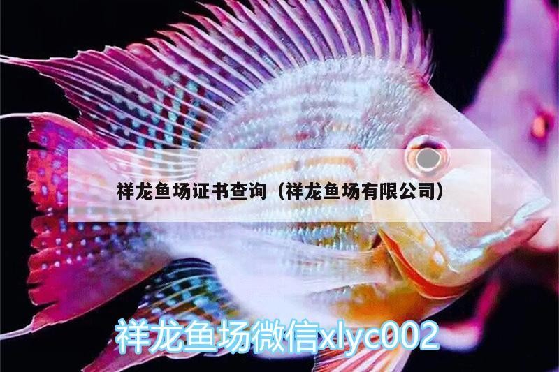 祥龍魚場證書查詢（祥龍魚場有限公司）