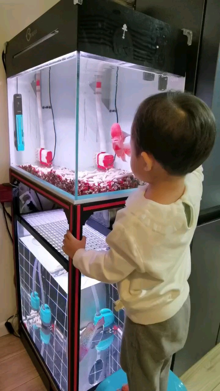 養(yǎng)魚人的快樂