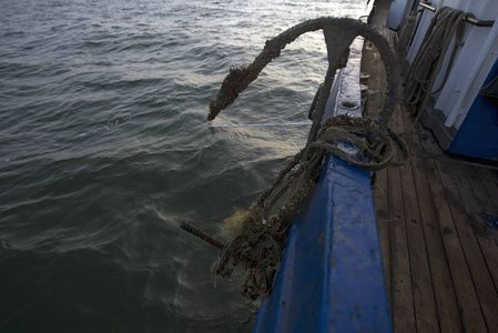 海虎魚的生活習(xí)性：水虎魚的毒性研究