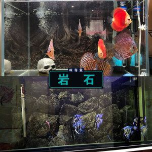 單面玻璃魚缸好嗎安全嗎：單面玻璃魚缸的安全性