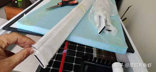 大型玻璃魚缸怎么拆：如何拆卸大型玻璃魚缸 大型玻璃魚缸怎么拆：如何拆卸大型玻璃魚缸 魚缸百科 第1張