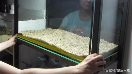 多大的魚缸養(yǎng)多少魚：如何確定多大的魚缸養(yǎng)多少魚