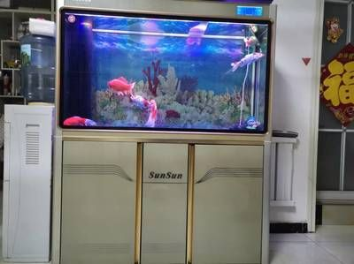 處理二手魚缸多少錢一個：二手魚缸回收價格