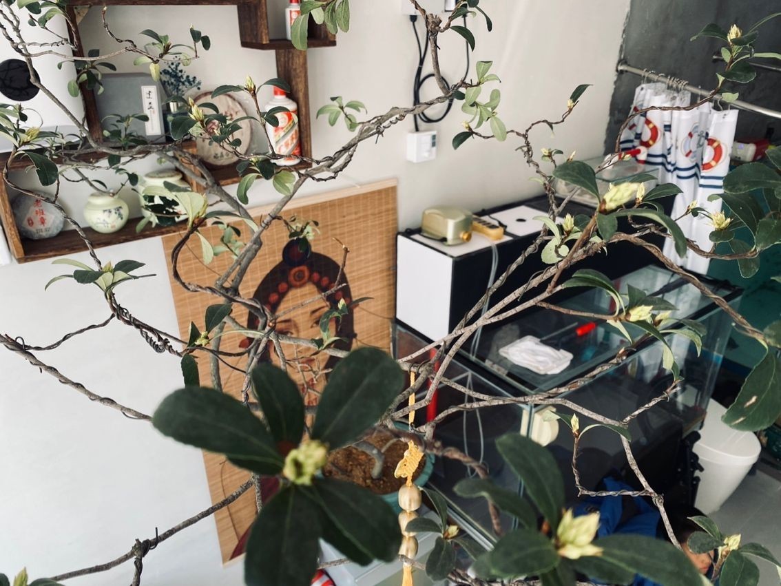 玻璃魚缸結實嗎安全嗎:玻璃魚缸的結實性和安全性 魚缸百科 第5張 玻璃魚缸結實嗎安全嗎:玻璃魚缸的結實性和安全性 玻璃魚缸結實嗎安全嗎:玻璃魚缸的結實性和安全性 魚缸百科 第5張