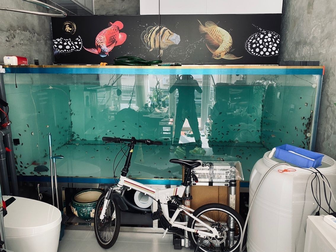 玻璃魚缸結實嗎安全嗎:玻璃魚缸的結實性和安全性 魚缸百科 第7張 玻璃魚缸結實嗎安全嗎:玻璃魚缸的結實性和安全性 玻璃魚缸結實嗎安全嗎:玻璃魚缸的結實性和安全性 魚缸百科 第7張