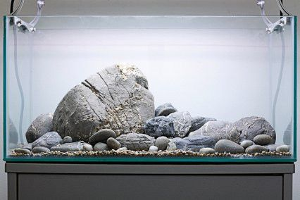 鵝卵石造景魚缸設(shè)計(jì)圖紙:鵝卵石造景魚缸的設(shè)計(jì)理念和使用中需要注意的事項(xiàng)
