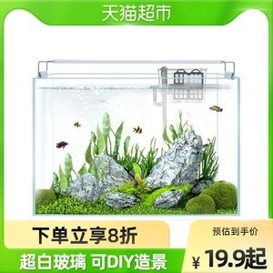 超白魚缸養(yǎng)什么魚:超白魚缸怎么選 魚缸百科 第2張 超白魚缸養(yǎng)什么魚:超白魚缸怎么選 超白魚缸養(yǎng)什么魚:超白魚缸怎么選 魚缸百科 第2張