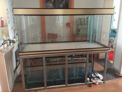 大型魚缸怎么粘邊的：大型魚缸粘邊步驟詳解 大型魚缸怎么粘邊的：大型魚缸粘邊步驟詳解 魚缸百科 第4張