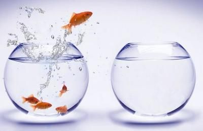 大型魚缸搬運多少錢一噸水：\"大型魚缸搬運多少錢一噸水\" 大型魚缸搬運多少錢一噸水：\"大型魚缸搬運多少錢一噸水\" 魚缸百科 第4張