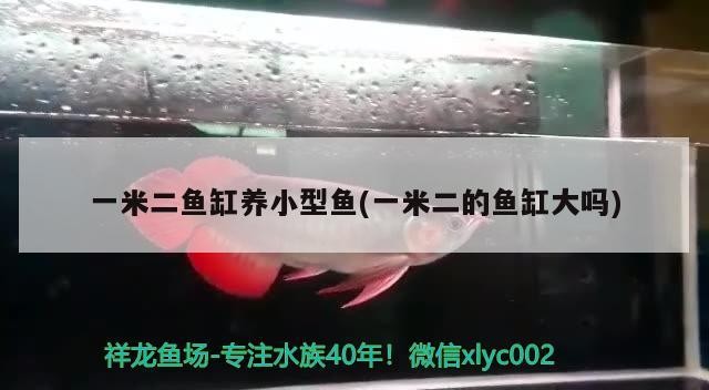 祥龍魚場怎么樣（祥龍魚場官方微信）