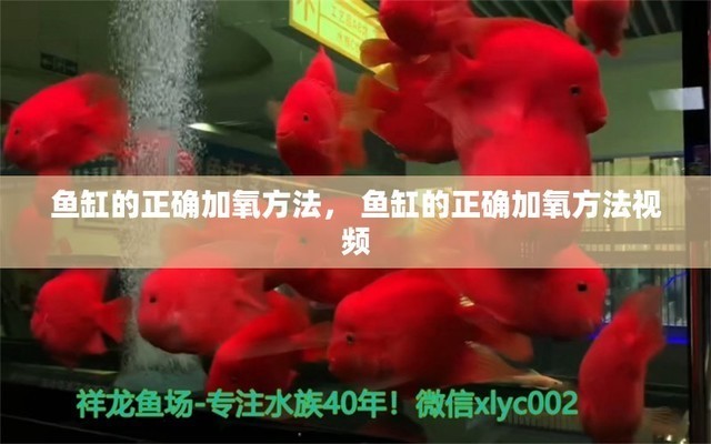 阜陽魚缸批發廠家直銷店電話多少（阜陽魚缸批發廠家直銷店電話多少號）