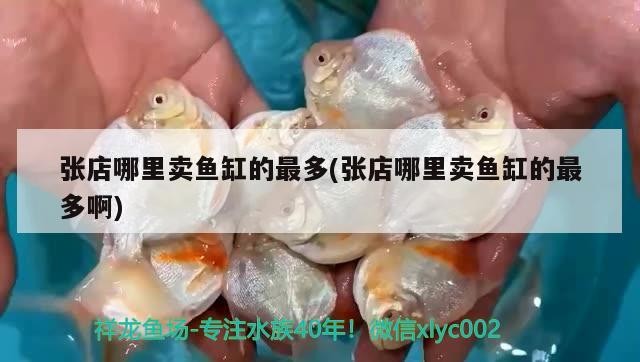 張店哪里賣(mài)魚(yú)缸的最多(張店哪里賣(mài)魚(yú)缸的最多啊)