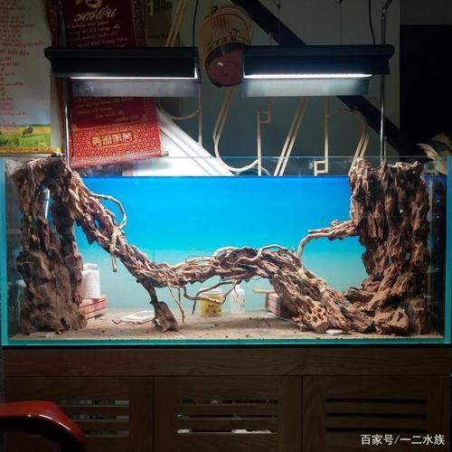 芮城縣東茂商業(yè)街夢(mèng)幻水族門市部（芮城水上樂園）