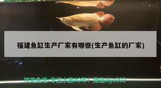 福建魚(yú)缸生產(chǎn)廠家有哪些(生產(chǎn)魚(yú)缸的廠家)