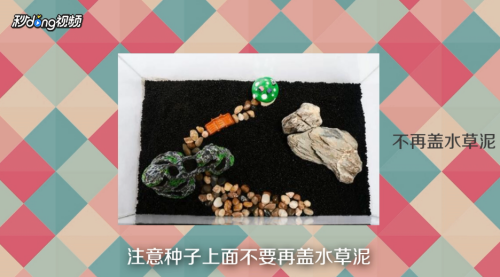 森麓意思（麓森的意思）