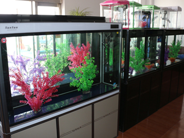 扎蘭屯市興華辦東洋水族館（扎蘭屯東港海鮮電話）