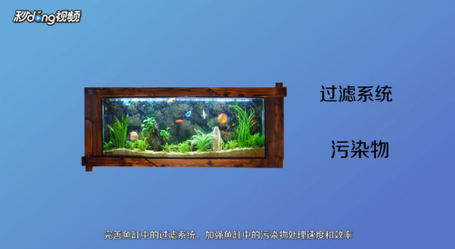 森蚺寵物（森森寵物生活專營(yíng)店）