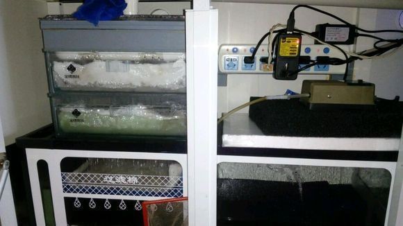 森森水質(zhì)穩(wěn)定劑好嗎（森森水質(zhì)穩(wěn)定劑怎么用）
