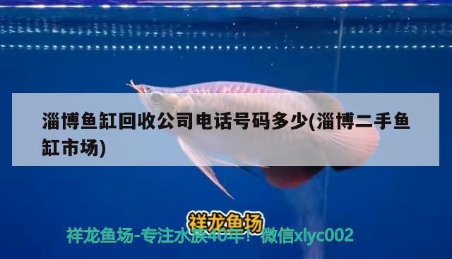 淄博魚(yú)缸回收公司電話號(hào)碼多少(淄博二手魚(yú)缸市場(chǎng))