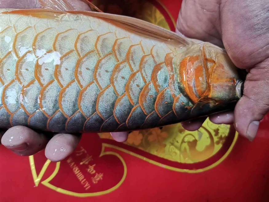 無(wú)聊拿出來(lái)玩玩感受一下第一視覺
