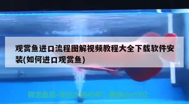 蘭州龍魚祥龍魚場在哪里（蘭州祥龍生態(tài)園好玩嗎）