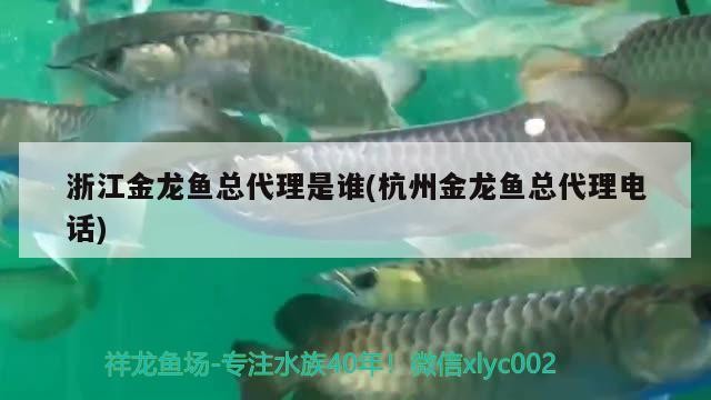 蘭州龍魚祥龍魚場在哪里（蘭州祥龍生態(tài)園好玩嗎）