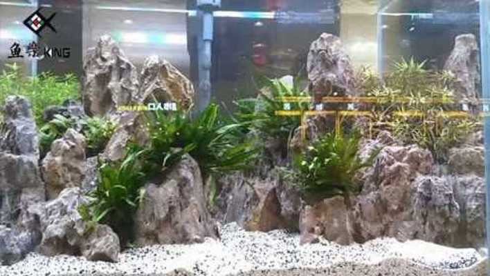 營口經濟技術開發區冰美人水族館：營口冰水人家小區在哪