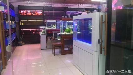 科右中旗酷魚水族館（科右中旗全魚宴）