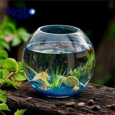 營口市西市區(qū)森森水族館（營口三森建設(shè)工程有限公司）