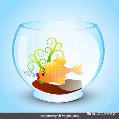 鬼王雷龍魚發色慢（鬼王雷龍魚苗） 鬼王雷龍魚發色慢（鬼王雷龍魚苗） 觀賞魚百科