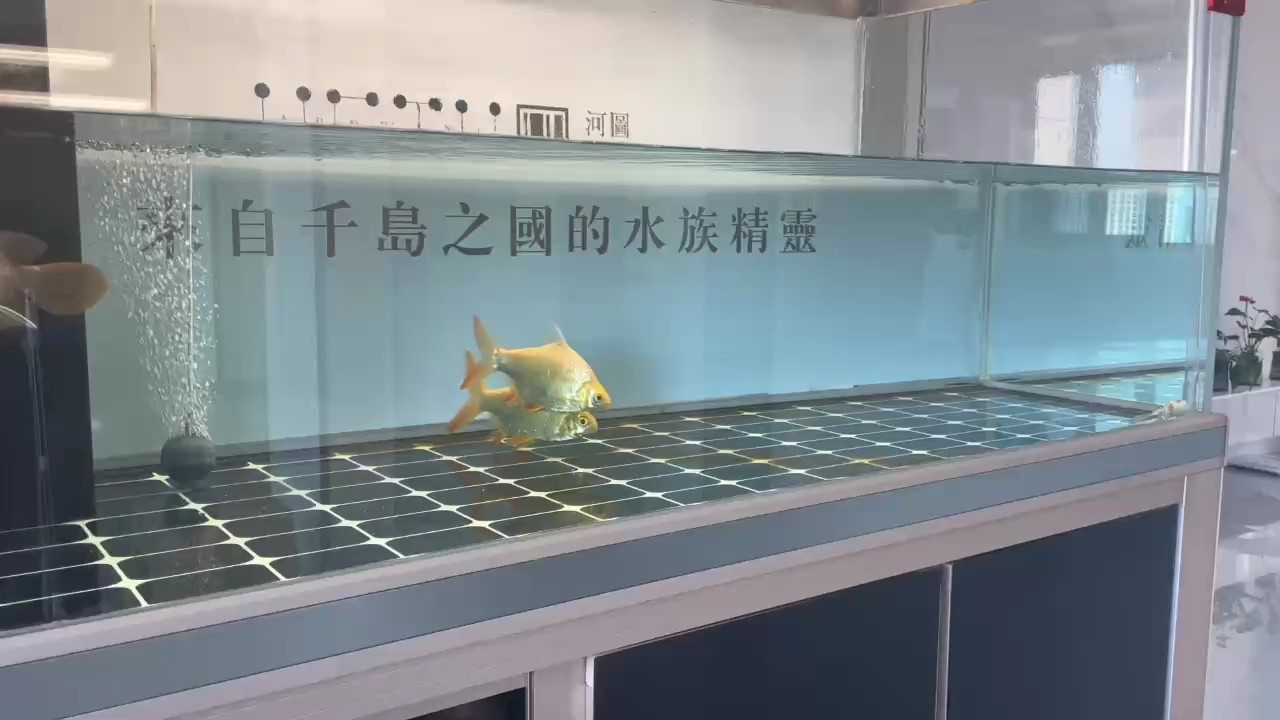 簡單的事情重復做