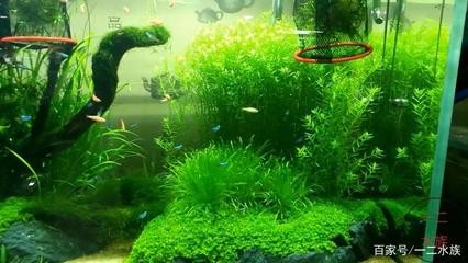 裕華區海納百川水族器材經銷中心（石家莊海納百川）